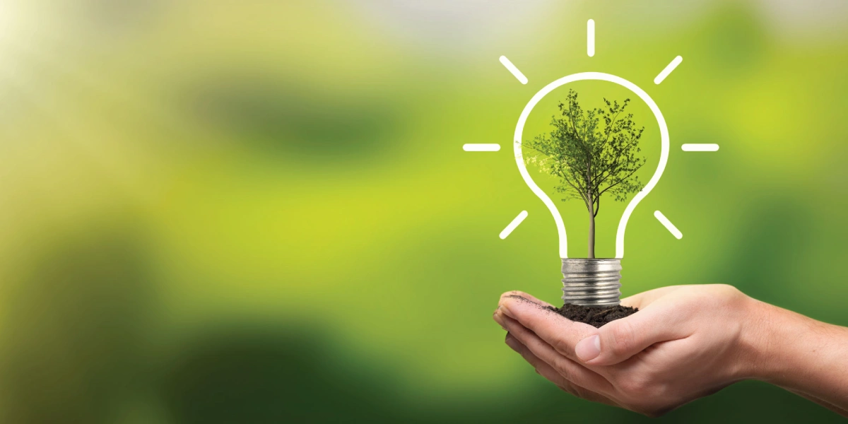 Energy Efficiency_ What Buyers Need to Know Featured Image