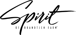 spirit_of-brandtjen